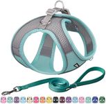 AIITLE Easy Walk Dog Harness and Leash Set - Pet Supply No Pull, Step in Adjustable Dog Harness with Padded Vest for All Weather, Dog Harness No Choke Over, Easy to Put on Medium Dogs Turquoise L