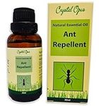 Makes 10+ litres of Ant Repellent Spray. Tried & Trusted Natural Blend. Peppermint and Clove Essential Oil. Humane, Economical, Ultra-Effective & Safe Deterrent. Indoor & Outdoor.