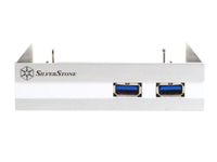 SilverStone FP36S Aluminum Front Panel 2X USB 3.0 Ports with 3.5-Inch to 2X 2.5-Inch Bay Converter Device (Silver)