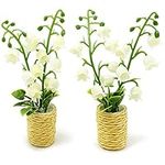 2Pieces Miniature Potted Plants Flo