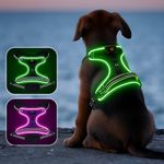 Lighted Dog Vests