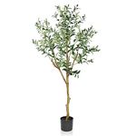 YOLEO 5.5FT Artificial Olive Tree Tall Faux Potted Olive Tree with Lifelike Olive Leaves Fake Silk Olive Plant for Living Room Bedroom Balcony Corner Office Indoor Decor