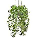 plants Artificial Hanging Fake Gree