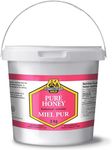 Dutchman's Gold Buckwheat Honey (3 