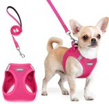 rabbitgoo Dog Harness Small Breed a