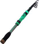 Tera Fishing Rod