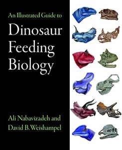 An Illustrated Guide to Dinosaur Feeding Biology