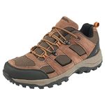 Northside Men's Monroe Low Hiking Shoe,Brown,9 M US