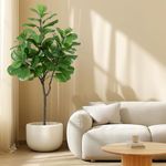 Artificial Fiddle Leaf Fig Tree,6ft Potted Ficus Lyrata Faux Plant with Dried Moss,Modern Artificial Tree with 86 Fiddle Leaves for Indoor House Home Office Housewarming Porch