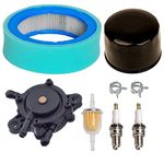 Carkio Fuel Pump Oil Filter Air Filter Pre-Cleaner Fuel Filter Clamps Spark Plug Compatible with John Deere GT235 GT235E LTR166 LT166 LT170 LX288 SST16 SST18 Lawn Mower