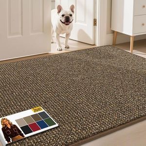 JSEI Door Mat for Entrance, Washable Low Profile Doormat for Front Door & Back Door, Absorbent Dirt-Trapping Entryway Rugs with TPR Backing for Wet Shoes & Dirty Paws, 36"x60", Brwon