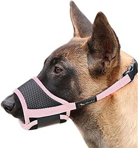 HEELE Dog