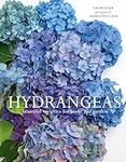 Hydrangeas: Beautiful Varieties for