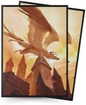 Arcane Fortress MTG Card Sleeves – 