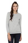 Allen Solly Women's Regular Fit Synthetic Crew Neck Sweatshirt (AHSTCRGF355266_Light Grey_Small)