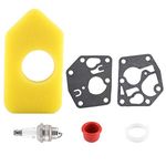 ViaGasaFamido Air Filter Carburetor Diaphragm Gasket Primer Bulb Spark Plug Complete Kit for Briggs & Stratton Many Small Engines