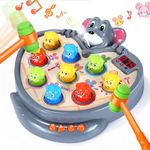 Yerloa Whack A Mole Game Toys for Ages Boys, Baby Toddler Cool Birthday Gifts Toys for 3 4 5 Year Old Boy Girl Kids Interactive Learning Toys with Spray 2 Hammers, 5 Game Modes, 9 Music & Light