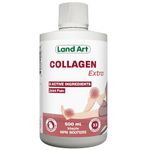 Collagen Extra Supplement – Complete Joint Care Formula – Fast Action – With Two Natural Anti-Inflammatory - 500ml – Non-GMO – Gluten Free – No Added Sugar - Made in Canada
