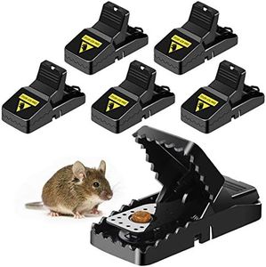 Mouse Trap