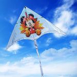 Delta Kites for Kids and Adults for Beach Trip Outdoor Games, Perfect for Beginners (Cartoon)