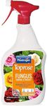 Fungus Control & Protect – 1L, Systemic Disease Control for Roses & Ornamental Plants, Treats & Prevents Blackspot, Rust & Mildew, Long-Lasting Protection – Ready to Use