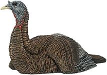 Avian-X Laydown Hen Turkey Decoy, Multi (AVX8011)