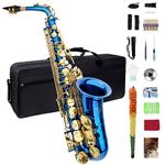 Eb Alto Saxophone, Saxophone for Beginners, Saxophone for Students, Saxophones Alto, Beginner Saxophone, Student Saxophone Beginner, Alto Sax, Alto Saxophone, Blue Saxophone