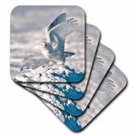 3dRose Coasters, Multi-Colour, set-of-4-Soft