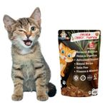 Natural Balance Cat Snacks