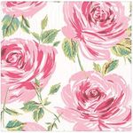 Bella Rosa Pink 16931L Paper Towels, Pack of 20