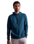 DAMENSCH Mens Regular Fit Cotton Blend Full Sleeve Statement Elemental Hoodies | hoodies for men, hoodies for boys,hoodie for men,travel hoodies for men-Pack of 1-Teal Blue-L