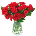 Clare Florist Red Carnations Fresh Flower Bouquet - Beautiful Flowers for All Special Occasions