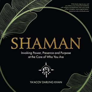 Shaman: Invoking Power, Presence and Purpose at the Core of Who You Are