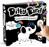 Ditty Bird