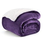 Bedsure Purple Blanket Sherpa Fleece Twin Blanket Fluffy Blanket Plush Soft Fuzzy Microfiber Warm Cozy Thick Bed Blanket for Winter Twin (60 inch x80 inch )