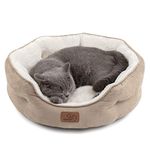 Small Dog Beds