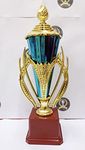 Trophy Golden Fiber Blue Cup Knob