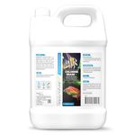 AquaNature Chlorine Erase + Water Conditioner Concentrated Chlorine Remover +Vitamin B&C for Freshwater Aquarium (1Ltr)