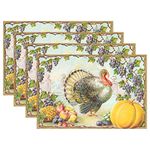 ALAZA Happy Thanksgiving Turkey01 Placemats for Dining Kitchen Table Set of 4 Heat Resistant Table Mat Home Decoration Washable Place Mat