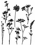 Stampers Anonymous CMS253 Wildflowe