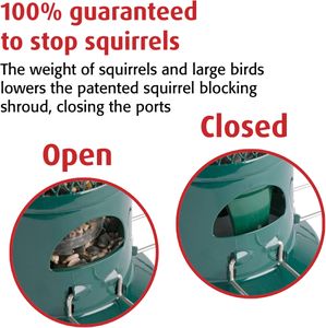 Jacobi Jayne Squirrel Buster Bird Feeder – Squirrel-Proof, Large Capacity