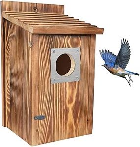 Bird House