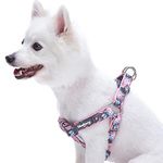 Blueberry Pet Comfy Step-in Rose Flower Prints Girly Padded Dog Harness, Chest Girth 51cm-66cm, Medium, Adjustable Harnesses for Dogs