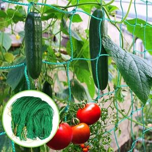 Red Plantas Trepadoras, Red De Enrejado De Plantas, Malla para Plantas Trepadoras, Red de Enrejado Jardín, para Verduras Tomates Pepino Redes de Apoyo para Plantas (2m*3m)