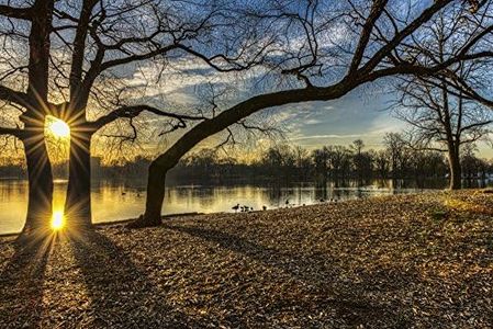 Sunrise Over Prospect Park Lake, Prospect Park; Brooklyn, New York, United States of America Poster Print (19 x 12)