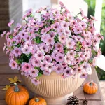 HyeFlora Artificial Flowers for Out