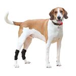 TokdoUp D42AC Dog & Cat Rear Leg Hock Brace Long Version (Pair)