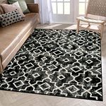 Wonnitar Moroccan Area Rug 5x7 Washable Soft Bedroom Rug Non-Slip Black Accent Rug for Living Room Non-Shedding Large Dining Room Table Mat Indoor Floor Carpet for Dorm Basement Office (VA0002342308)