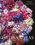 Hydrangeas: Beautiful Varieties For