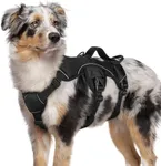 rabbitgoo Escape Proof Dog Harness,